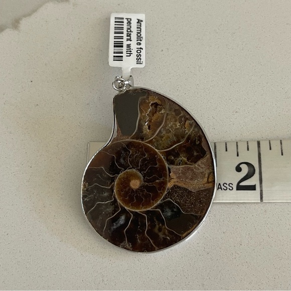 One of A Kind Ammolite Fossil Pendant - Picture 4 of 10